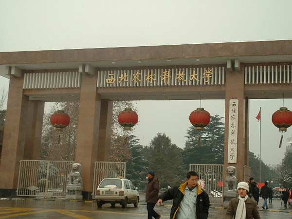 西北农林科技大学文凭(西北农林科技大学本科毕业要求)