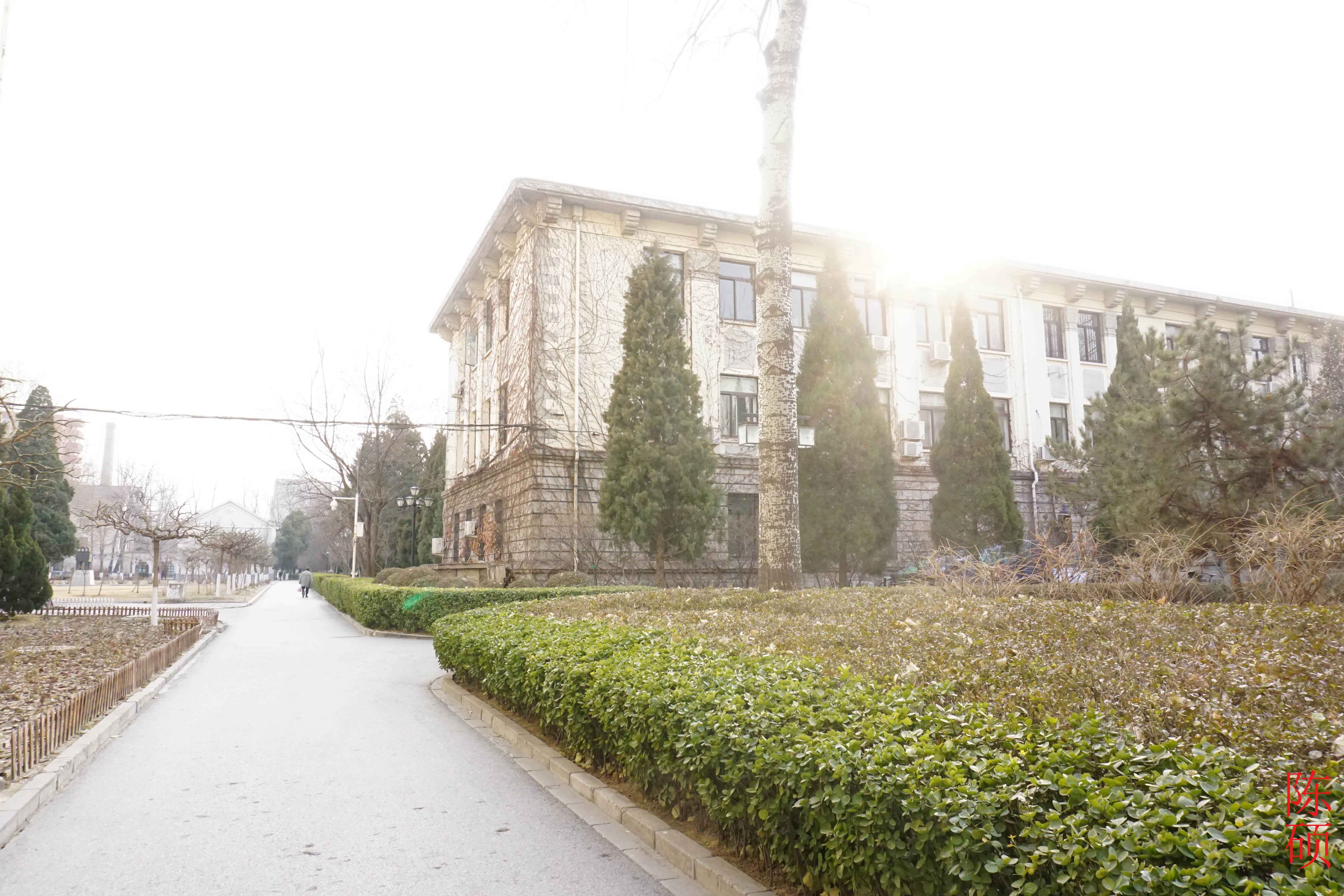 北京科技大学毕业证(北京科技大学毕业证书)