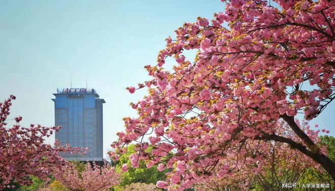 南京航空航天大学(南京航空航天大学航空学院)