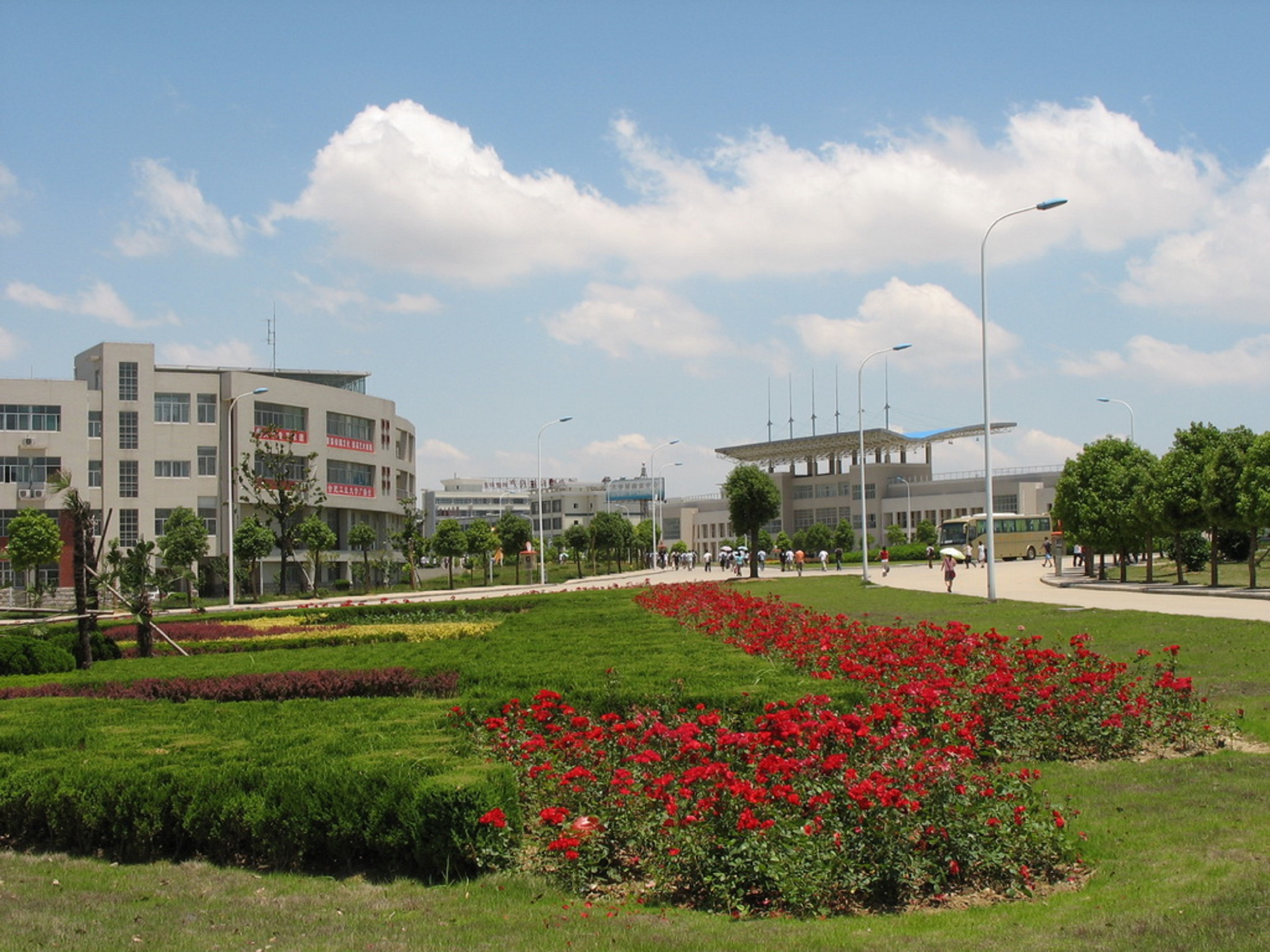 合肥工业大学毕业证(合肥工业大学毕业证书)