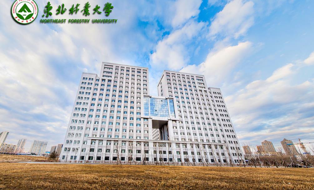 东北林业大学较高收费毕业证