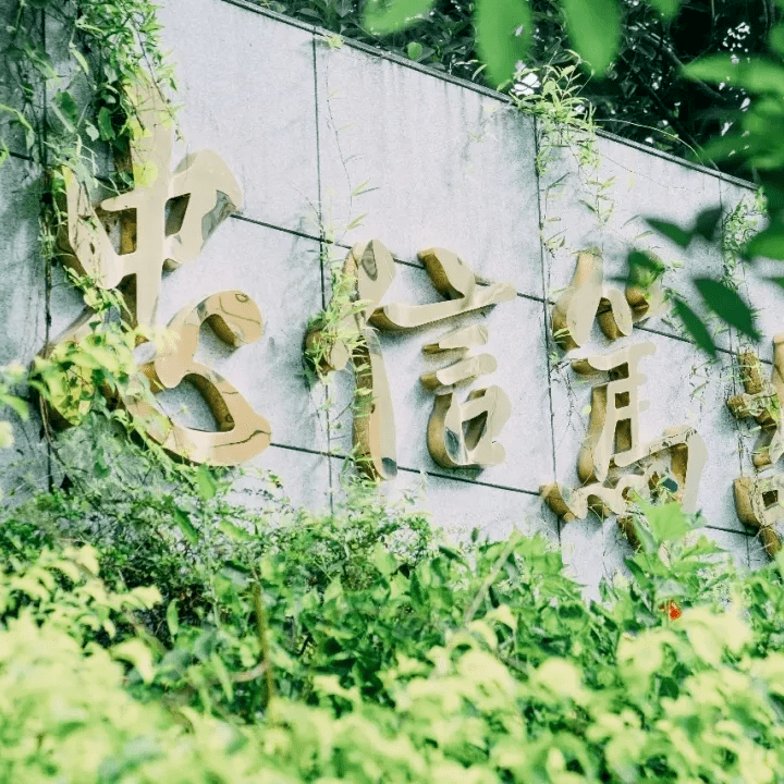 暨南大学教育学院文凭