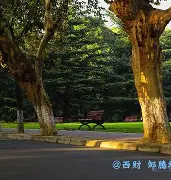 西南财经大学毕业是什么学历
